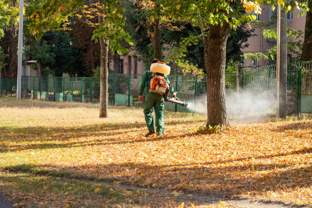 Professional Pest Control in Norton, OH